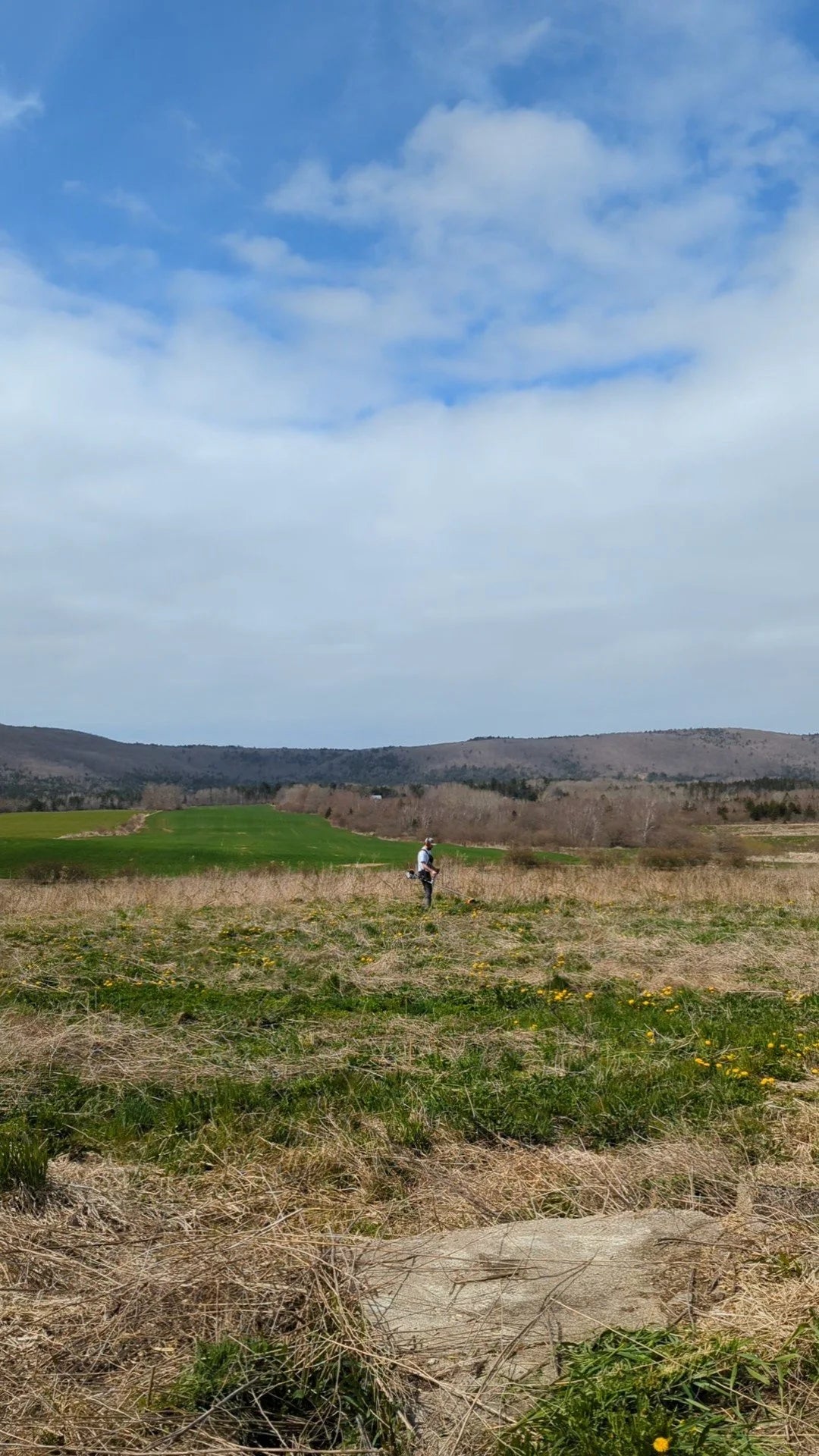 Person riding a horse in a vast open field with mountains in the distance under a blue sky.