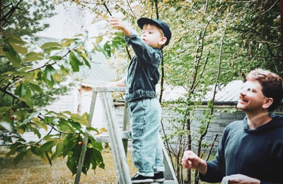 Child on a ladder reaching for something in a garden with an adult nearby