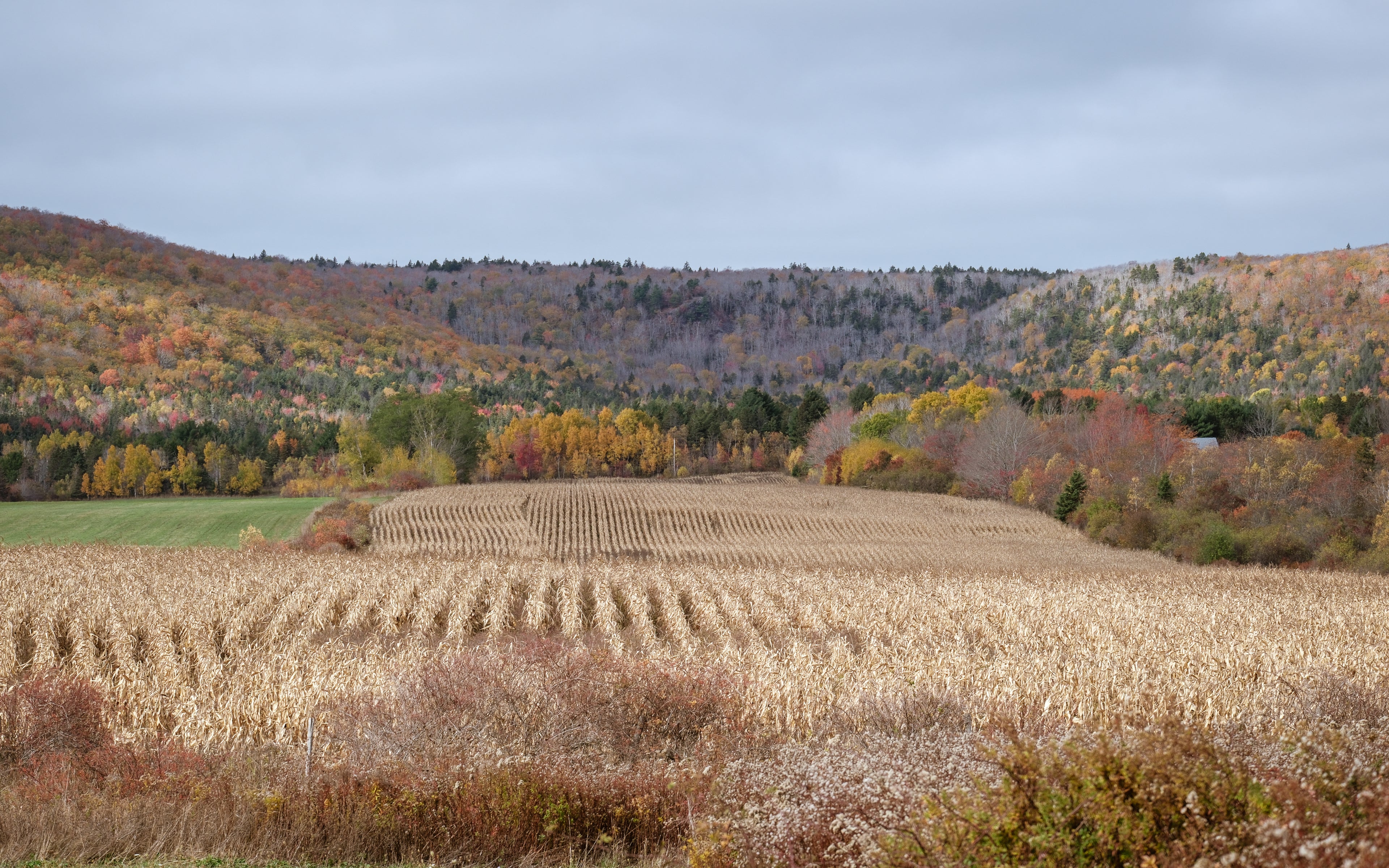 A scenic autumn landscape with a harvested field in the foreground, trees with yellow, orange, and green foliage in the midground, and rolling hills covered in mixed fall colors under a cloudy gray sky.